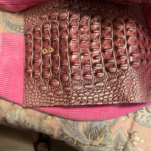 Brahmin - Picture 6 of 7